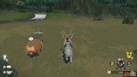 You can safely dash past the alpha Bibarel with Wyrdeer.
