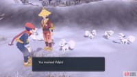 Aww, this Alolan Vulpix wants to be your friend.