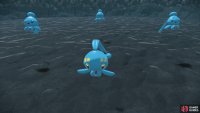 Inside, you’ll encounter a Manaphy and three Phiones.