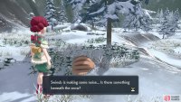 Use Swinub to find mushrooms buried in the snow