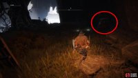 head towards the bridge, but ignore it to find a pot