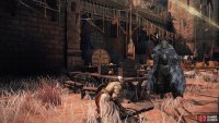 Blaidd can be found in the Redmane Castle Plaza before the boss fight.