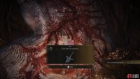 and you’ll obtain the Dark Moon Greatsword and trigger the ending condition.