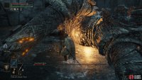 Once you’ve staggered the boss, hit this highlighted area to execute a critical hit.