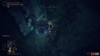 You’ll need to kill the Teardrop Scarab quickly before it disappears.