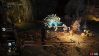 Use Spirit Ashes to distract the boss and other enemies.