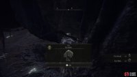 if you’ve finished D’s Twin Brother’s Quest, you’ll be able to obtain her Armor set.