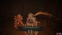 You must now feed him a further four Seedbed Curses