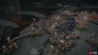 return to find a Summon (white) and Invasion (red) sign