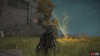 To the south of Fort Haight, there’ll be a minor Erdtree that contains the Golden Seed.