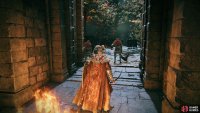 When you reach the second gate, run to the doorway to your left and ignore the enemies. Be aware that the Lion Guardian is to the right of the door.