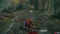 Most players will access the Hold via the Site of Grace after defeating Margit