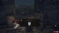 she’ll hand over a Spirit Ash after speaking to her a few times.