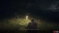 then rest at the Site of Grace and speak to her multiple times