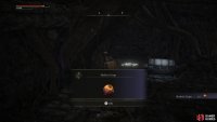 the grape can be found in the northeast of the ruins, under some floorboards you can break.