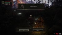 you can then summon her before you reach the firepit across the bridge
