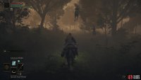 On your way to the shack, wolves literally drop out of trees.