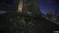 it’s hidden behind the rock.