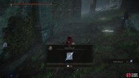 Kill a scarab for the Carian Piercer sorcery.