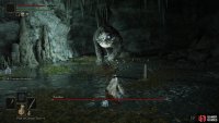 In the depths of the cave you’ll find the chamber of a Runebear.