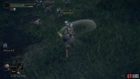 Defeat a pack of Demi-Humans,