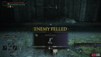 Defeat it to obtain the Blue Dancer Charm.