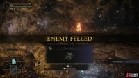 which will drop the Roar Medallion when defeated.