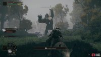 Lesser Moonbears can be found throughout Mistwood - they’re foes best avoided early on.