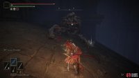 Defeat a Land Octopus,