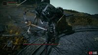 Shortly thereafter you’ll be attacked by the Grafted Scion - win or lose and you’ll find yourself in the Stranded Graveyard.