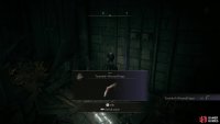 Pick up the Tarnished’s Wizened Finger to escape the first room.