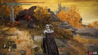 Follow the path north while looking to your left to find the Battlemage containing the “Crown”.
