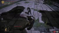 The Mimic Tear is one of the first boss fights you’ll come across in Nokron