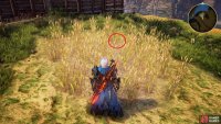 look in the wheat field beyond the bridge.