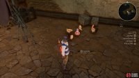 don&rsquo;t miss this Owl among the chickens