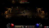 Many unique monsters will have two immunities!