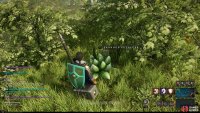 Fronded Petalcaps are located in Windsward