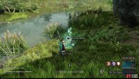 search along the river that borders Everfall and Windsward for Rivercress Stem.