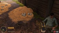 10 Eggs can be found in the hut opposite the shed. 