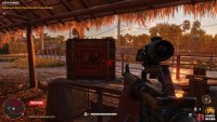 to find Papacito sitting in a chicken coop. 