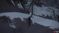 Approach the snowy ridge and look behind the tree.