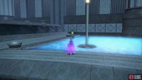 Pass through the crystal forest.