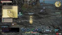 Head to the Rocky Reef 
