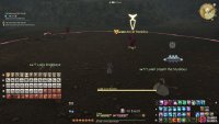 You will start the fight against Ancel