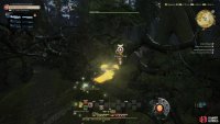 Fly above the trees to find Pukwa Pika