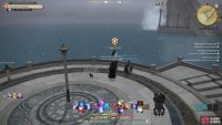 Meet with the Stargazer 