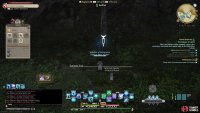 Interact with Tualong Trees  for Island Branches. 
