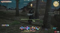 Speak with the Suspicious Alchemist 