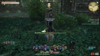 Head to (X: 24.4, Y: 23.3) and speak with the Auri Dancer 