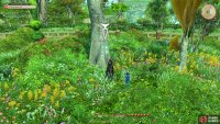 Examine the Trees for Flowers